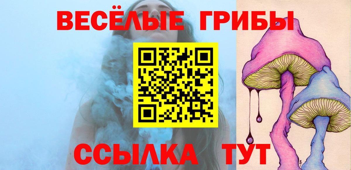 Псилоцибиновые грибы прущие грибы Муром