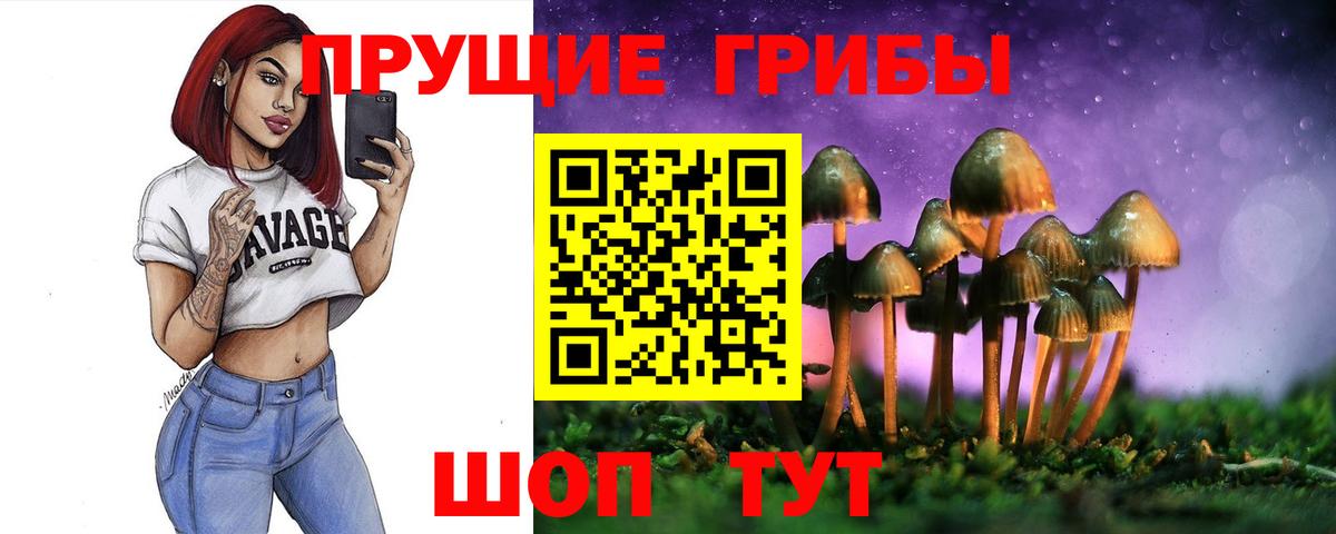 продажа наркотиков  Псилоцибиновые грибы ЛСД  Вход с VPN  Муром 